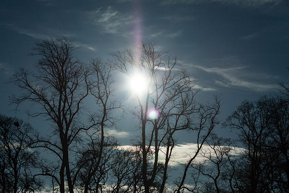 Before the Eclipse