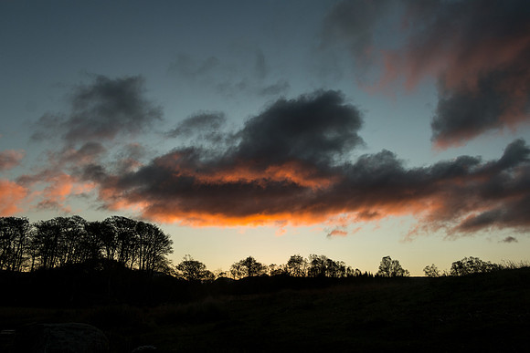 First Light