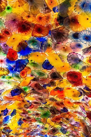 Bellagio Abstract Flowers