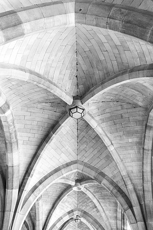 Cloister Roof
